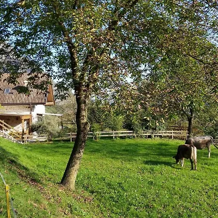 La Nos